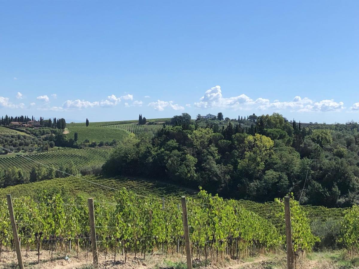Casale Il Fontanellino - Country House Near Florence San Miniato Ngoại thất bức ảnh
