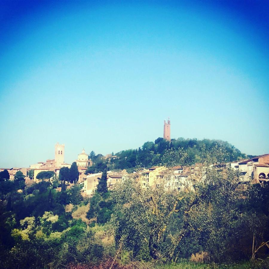 Casale Il Fontanellino - Country House Near Florence San Miniato Ngoại thất bức ảnh